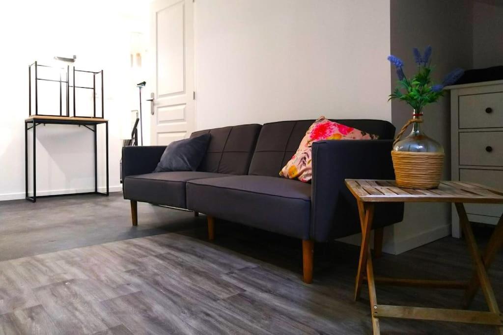 Le Cours Foucault - 3 Appartements - 8 Couchages Монтобан Экстерьер фото