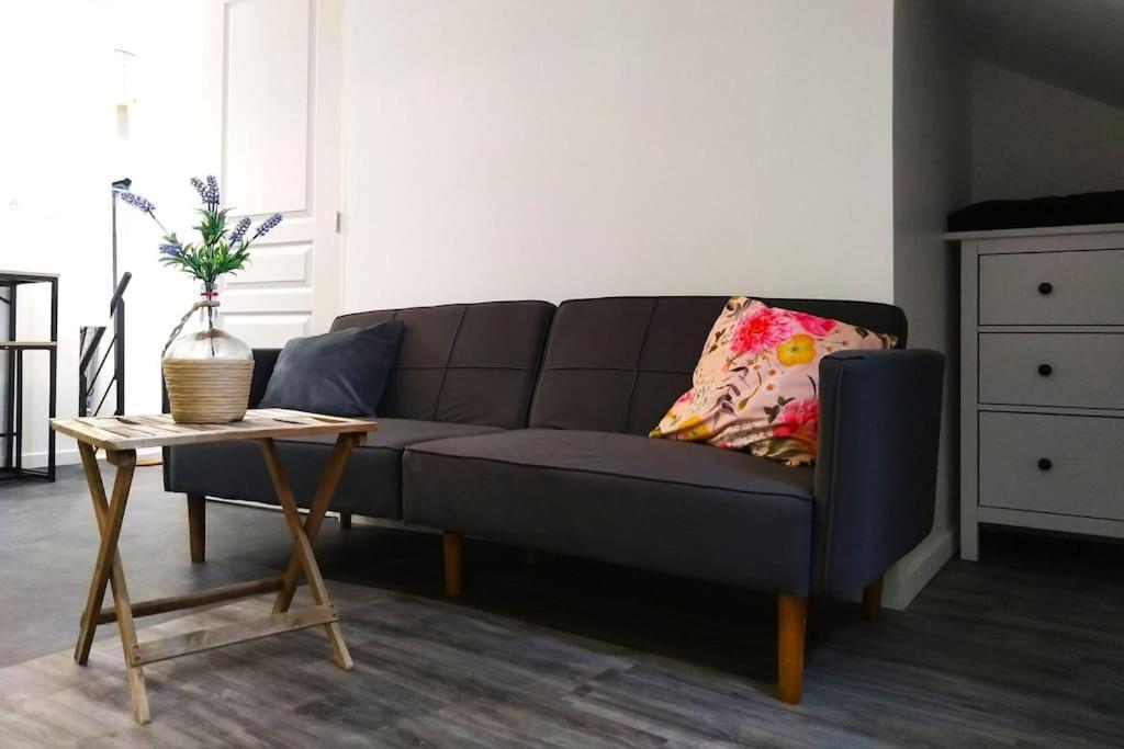 Le Cours Foucault - 3 Appartements - 8 Couchages Монтобан Экстерьер фото